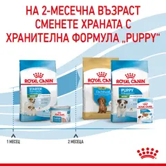 ROYAL CANIN® MINI STARTER MOTHER & BABYDOG - суха храна за подрастващи кучета