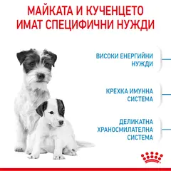 ROYAL CANIN® MINI STARTER MOTHER & BABYDOG - суха храна за подрастващи кучета