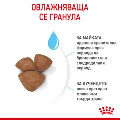 ROYAL CANIN® MINI STARTER MOTHER & BABYDOG - суха храна за подрастващи кучета