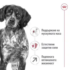Royal Canin Medium Adult +7 - суха храна за кучета