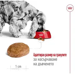 Royal Canin Medium Adult +7 - суха храна за кучета