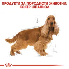 Royal Canin Cocker Adult - за кучета порода английски и американски кокер шпаньол на възраст над 12 месеца
