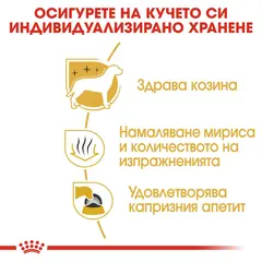 Royal Canin Maltese Adult - за кучета порода малтийски бишон на възраст над 10 месеца - 1.5 кг