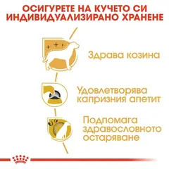 Royal Canin Yorkshire Terrier Adult - за кучета порода йоркширски териер на възраст над 10 месеца