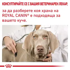 ROYAL CANIN® CALM SMALL DOG - Пълноценна диетична храна за кучета в зряла възраст за подпомагане при стресови ситуации