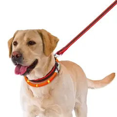 FERPLAST Night Over-Collar - Светещ нашийник за куче - 70см