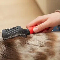 Ferplast GRO 5991 – Двустранен тример за кучета