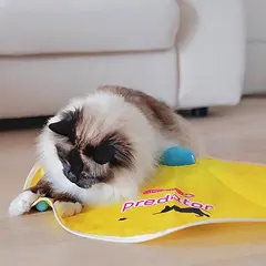 PREDATOR - електр. играчка за котки
