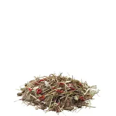 Versele-Laga Fibrefood Chinchilla Nature - храна с фибри за чинчили