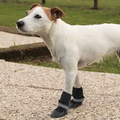 DOG SHOES MEDIUM BLACK(х2) ferplast- чорап - обувка за кучета