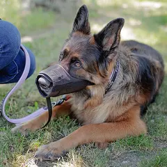 Намордник за Хъски, Доберман Ferplast Muzzle Safe Medium Black
