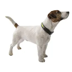 Ferplast Night Collar Small - Светещ нашийник за куче - малък