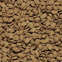 Versele-Laga NUTRIBIRD Р19 Original - храна за големи папагали 10kg