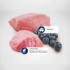 N&D PRIME Dog Grain free Lamb & Blueberry Mini Adult – пълноценна храна за кучета в зряла възраст над 1г. от дребните породи с агне и боровинки