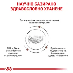 Royal Canin Gastrointestinal Hairball Cat 2 кг - суха храна за котки с предразположеност към образуване на космени топки
