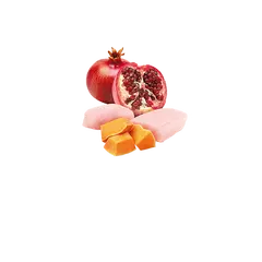 N&D DOG CHICKEN &PUMPKIN& POMEGRANATE 285 гр – за кучета над 1 година, с пиле, тиква и нар