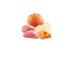 N&D DOG BOAR &PUMPKIN& APPLE 285 гр – за кучета над 1 година, с глиган, тиква и ябълка