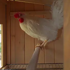 Ferplast HEN HOUSE 30 - дървена къща за дворни птици