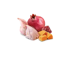 N&D DOG QUAIL &PUMPKIN 285 гр – за кучета над 1 година, с пъдпъдък и тиква