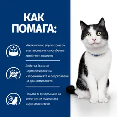 Hill's PRESCRIPTION DIET i/d Digestive Care - лечебна суха храна за котки с храносмилателни разстройства и за възстановяване, с пилешко