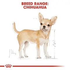 Royal Canin CHIHUAHUA ADULT POUCH 12x85g - Пълноценна храна за кучета порода чихуахуа в зряла възраст над 8 месеца, пастет