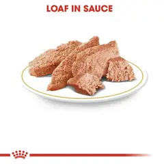 Royal Canin CHIHUAHUA ADULT POUCH 12x85g - Пълноценна храна за кучета порода чихуахуа в зряла възраст над 8 месеца, пастет