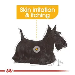 Royal Canin CCN DERMACOMFORT LOAF 12x85g - За кучета, предразположени към кожни раздразнения и сърбеж.