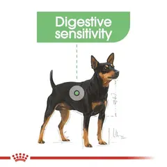 Royal Canin CCN DIGESTIVE CARE LOAF 12x85g - за кучета с чувствителна храносмилателна система