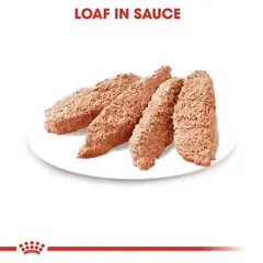 Royal Canin CCN DIGESTIVE CARE LOAF 12x85g - за кучета с чувствителна храносмилателна система