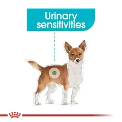 Royal Canin CCN URINARY LOAF 12x85g - За поддържане здравето на уринарния тракт при кучета