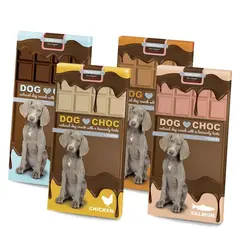EBI DogChoc Salmon 100 g - Шоколад за кучета, сьомга