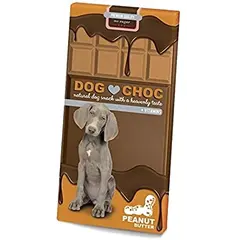 EBI DogChoc Peanut Butter 100 g - Шоколад за кучета, фъстъчено масло