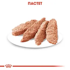 Royal Canin CCN URINARY LOAF 12x85g - За поддържане здравето на уринарния тракт при кучета