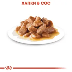 Royal Canin MINI ADULT POUCH 12x85g - Пълноценна храна за кучета в зряла възраст от дребните породи (от 1 до 10кг.) - oт 10 месеца до 12 години.