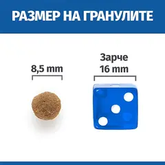 Hill's Science Plan NO GRAIN Adult Chicken - Пълноценна суха храна за котки в зряла възраст от 1 до 6 години, без съдържание на зърнени култури и глутен - 300 g