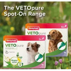 Beaphar Veto Pure Bio Spot On Dog - противопаразитни пипети за кучета от дребни породи до 15 кг, - кутия с 3 броя пипети