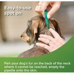 Beaphar Veto Pure Bio Spot On Dog - противопаразитни пипети за кучета от дребни породи до 15 кг, - кутия с 3 броя пипети
