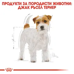 Royal Canin Jack Russel - За кучета над 10 месеца от порода Джак Ръсел териер - 1,5 кг