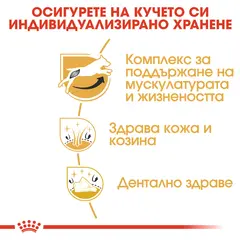 Royal Canin Jack Russel - За кучета над 10 месеца от порода Джак Ръсел териер - 1,5 кг