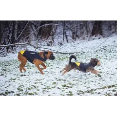 JULIUS-K9 neoprene dog jacket - неопреново яке размер XL - дължина 57 см, гръдна обиколка 70-90 см