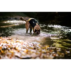 JULIUS-K9 neoprene dog jacket - неопреново яке размер XL - дължина 57 см, гръдна обиколка 70-90 см