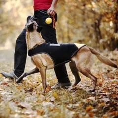 JULIUS-K9 neoprene dog jacket - неопреново яке за куче