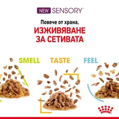 Royal Canin Sensory Smell in Gravy - пълноценна мокра храна със сос в пауч за котки в зряла възраст над 1 година - 12x85 гр