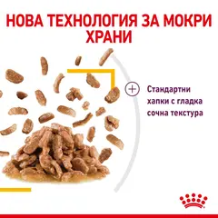 Royal Canin Sensory Taste in Gravy - пълноценна мокра храна със сос в пауч за котки в зряла възраст над 1 година - 12x85 гр
