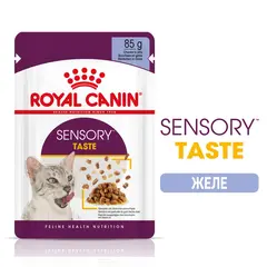 Royal Canin Sensory Taste in Jelly - пълноценна мокра храна хапки в желе в пауч за котки в зряла възраст над 1 година - 12x85 гр