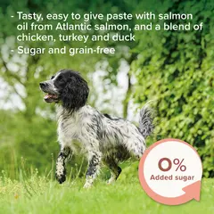 Beaphar Salmon Oil Paste for Dogs - Паста за кучета с масло от сьомга - 100 г