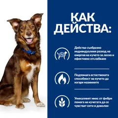 Hill's PRESCRIPTION DIET Metabolic Lamb & Rice - лечебна суха храна за кучета с наднормено тегло, с агнешко и ориз -12 кг