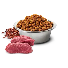 N&D Quinoa Skin & Coat Venison MINI Dog - суха храна за кучета над 1г. от дребни породи с еленско, киноа, копър, мента и артишок - 0.800гр.