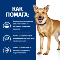 Hill's PRESCRIPTION DIET i/d Digestive Care AB+ Stew - лечебна мокра храна за кучета с храносмилателни разстройства и за възстановяване – консерва задушено пилешко със зеленчуци - 0.354 kг