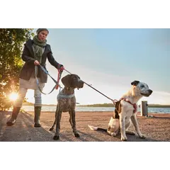 Hurtta RAZZLE ECO Standard Leash - повод за куче, ЧЕРВЕН, 180 см / 15 мм